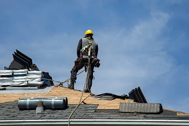 Professional Gutter Installation technician working in Holloway, MN
